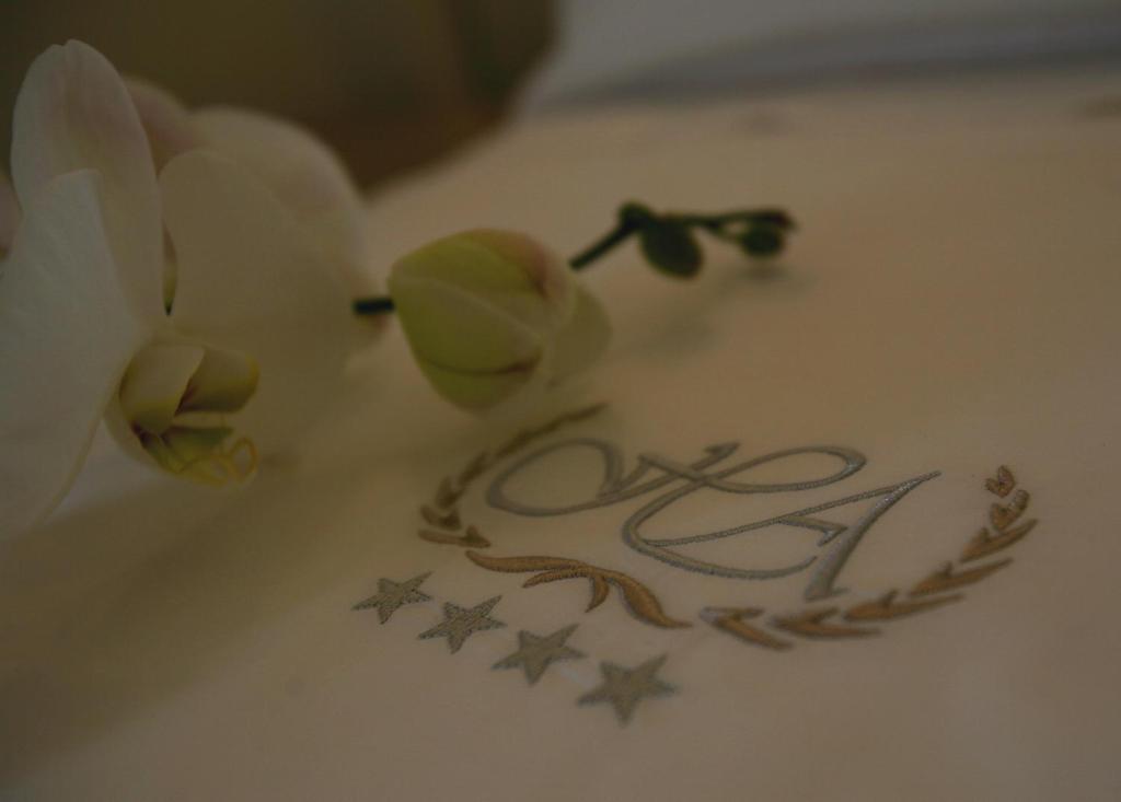 Alexander 4*
